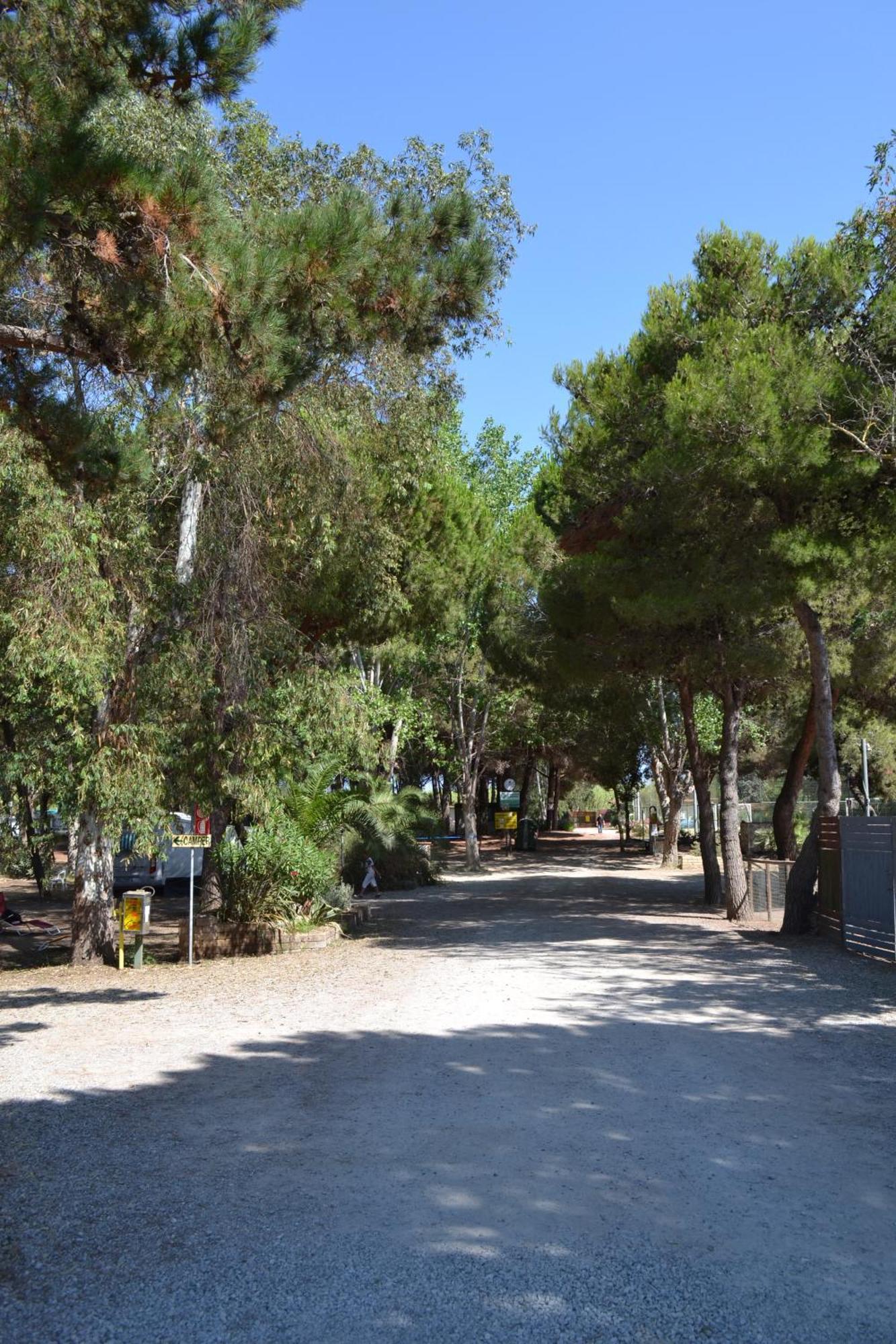 Giannella Camping 오르베텔로 외부 사진